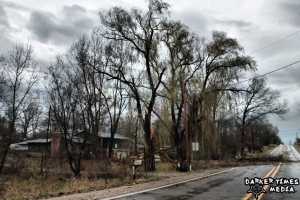 Tree damage NE of Niles,  MI